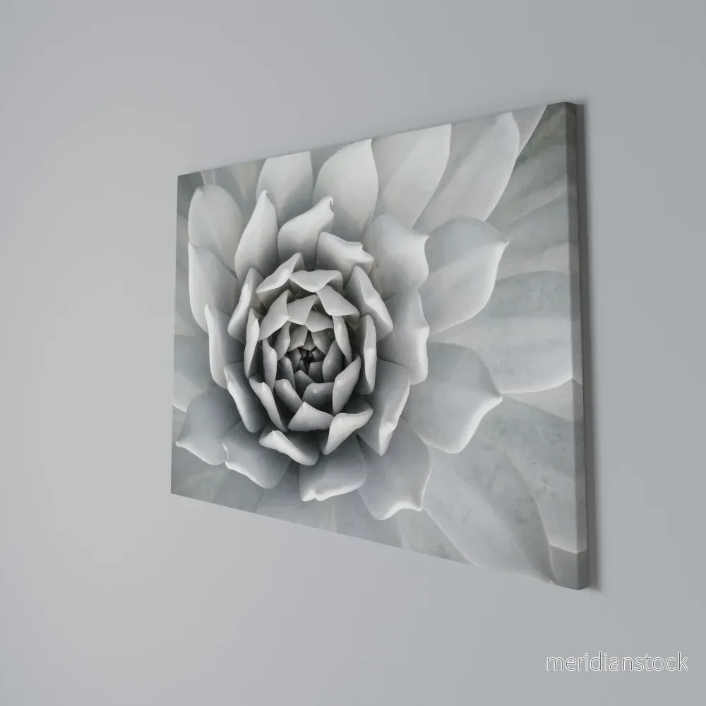 ELEGANT PETAL SWIRL Horizontal Canvas Print - Bild 2