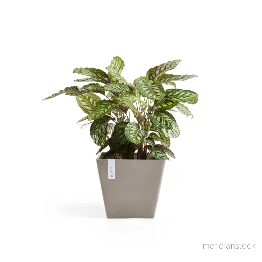 Kruka Rotterdam 40cm taupe