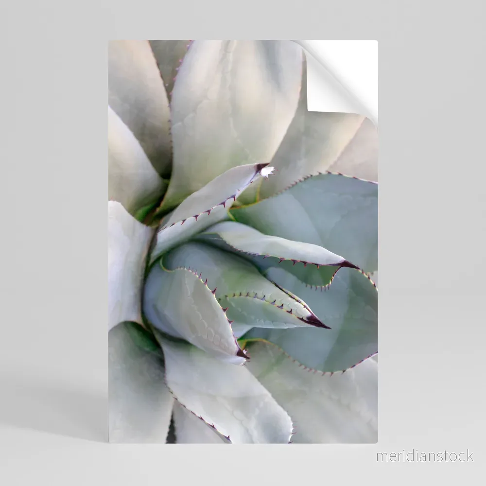 AGAVE ELEGANCE Självhäftande Vertikal Poster - Bild 3