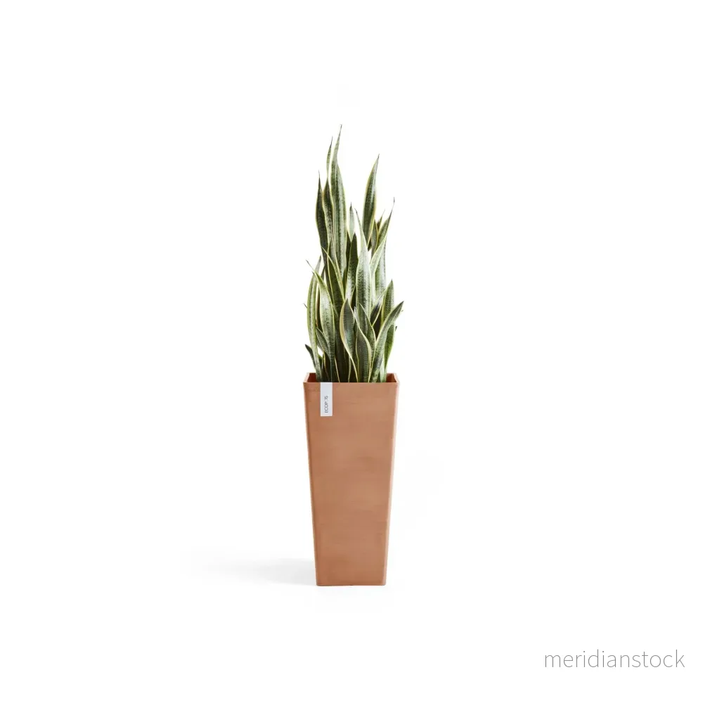 Kruka Rotterdam hög 70cm terrakotta