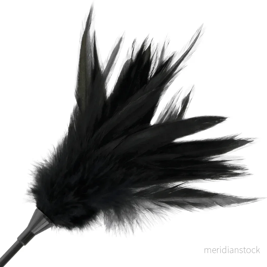 DARKNESS - BLACK FEATHER WHIP - Bild 3