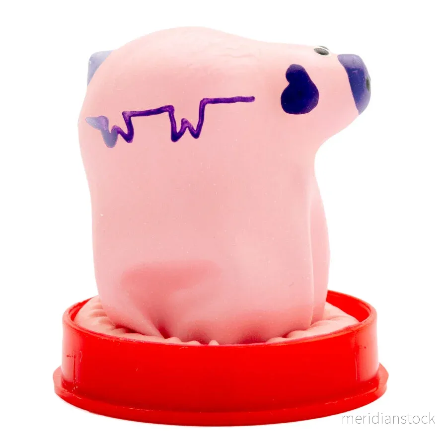 CONDOMERIE - HANDPAINTED NOVELTY CONDOMS SMALL PIG - Bild 2