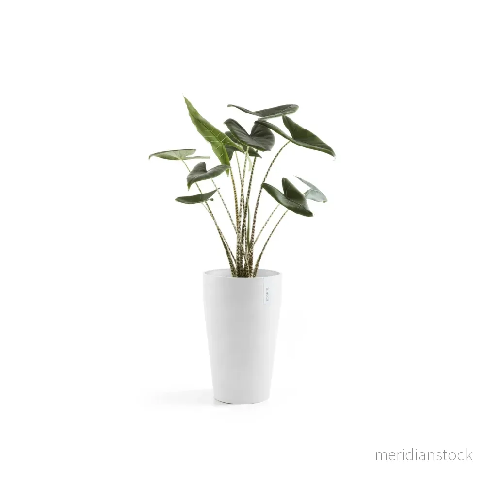 Kruka Sankara medelhög 55cm vit