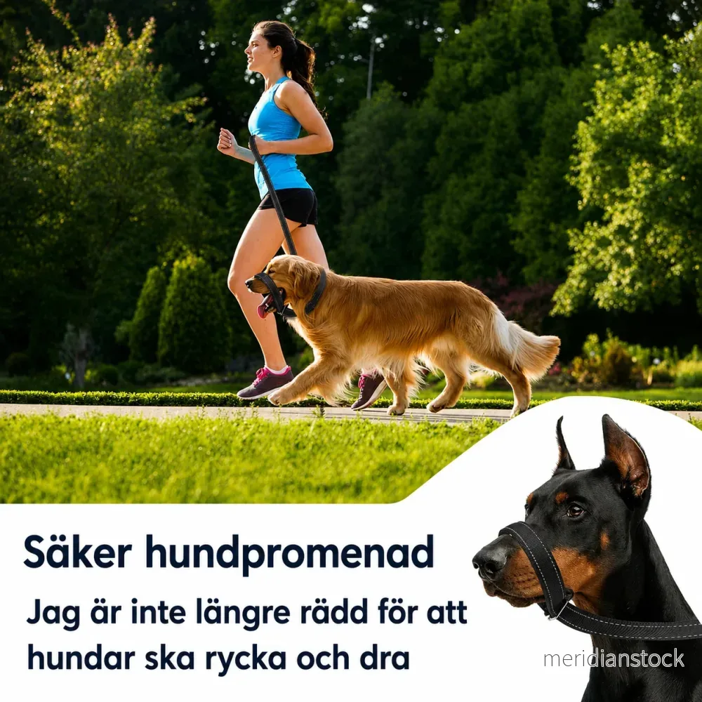 DragFri™ – Slipp dragandet, njut av promenaden