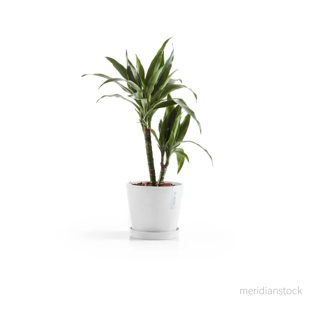 Kruka Amsterdam 20cm vit - Bild 3