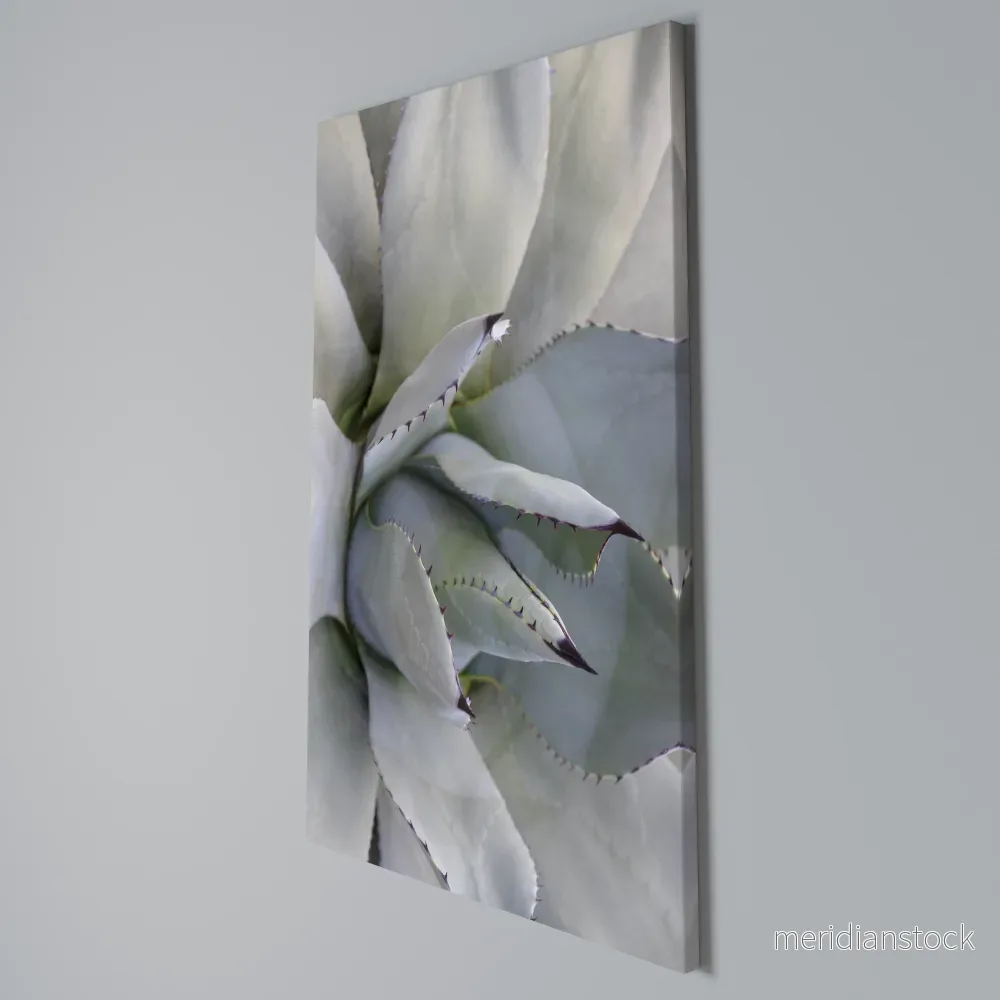 AGAVE ELEGANCE Vertical Canvas Print - Bild 3