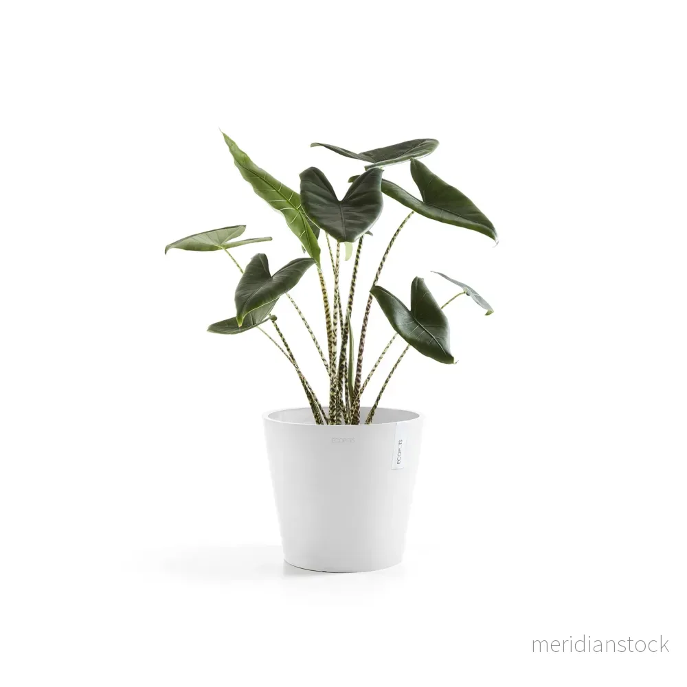 Kruka Amsterdam 40cm vit Kruka Amsterdam 40cm vit