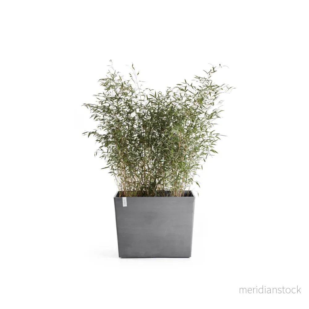 Kruka Paris med hjul 85cm grå
