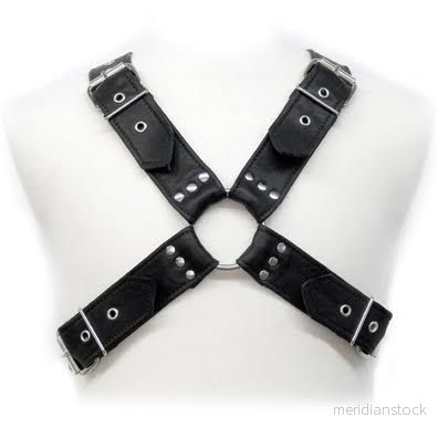 LEATHER BODY - BUCKLES HARNESS - Bild 2