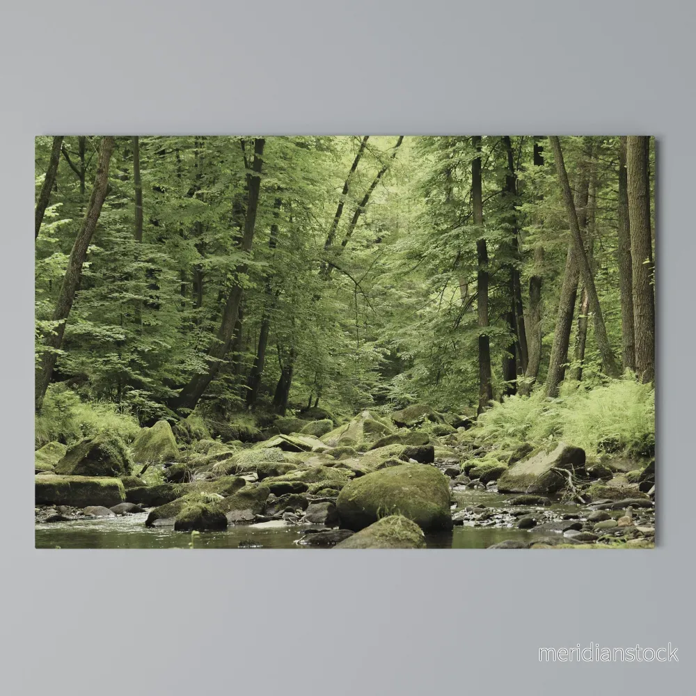 TRANQUIL STONES AND STREAMS Horizontal Canvas Print - Bild 3