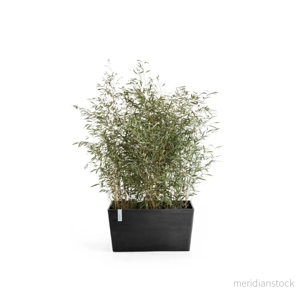 Kruka Paris 60cm mörkgrå