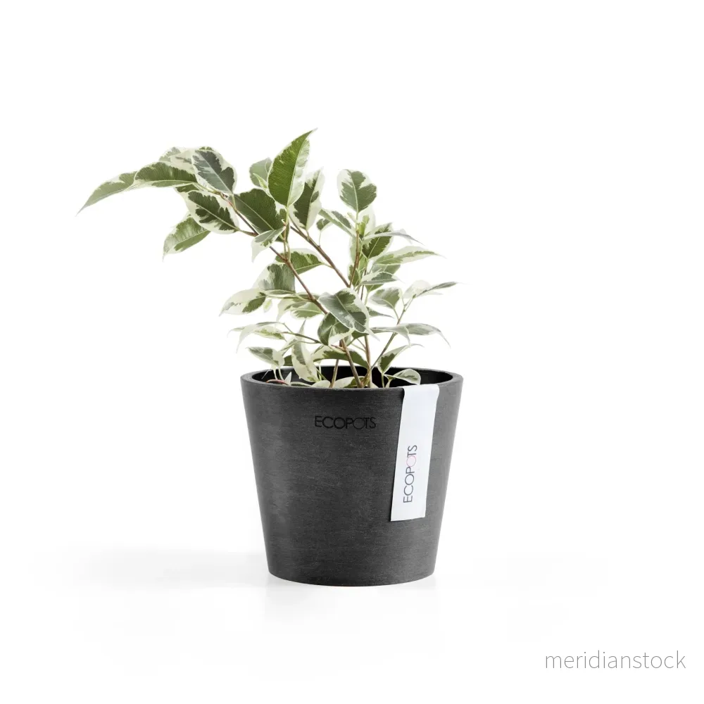 Kruka Amsterdam 10,5cm mörkgrå Kruka Amsterdam 10,5cm mörkgrå