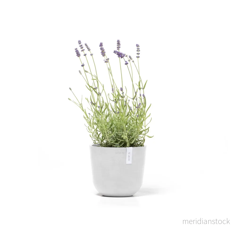 Kruka Oslo 19cm vit