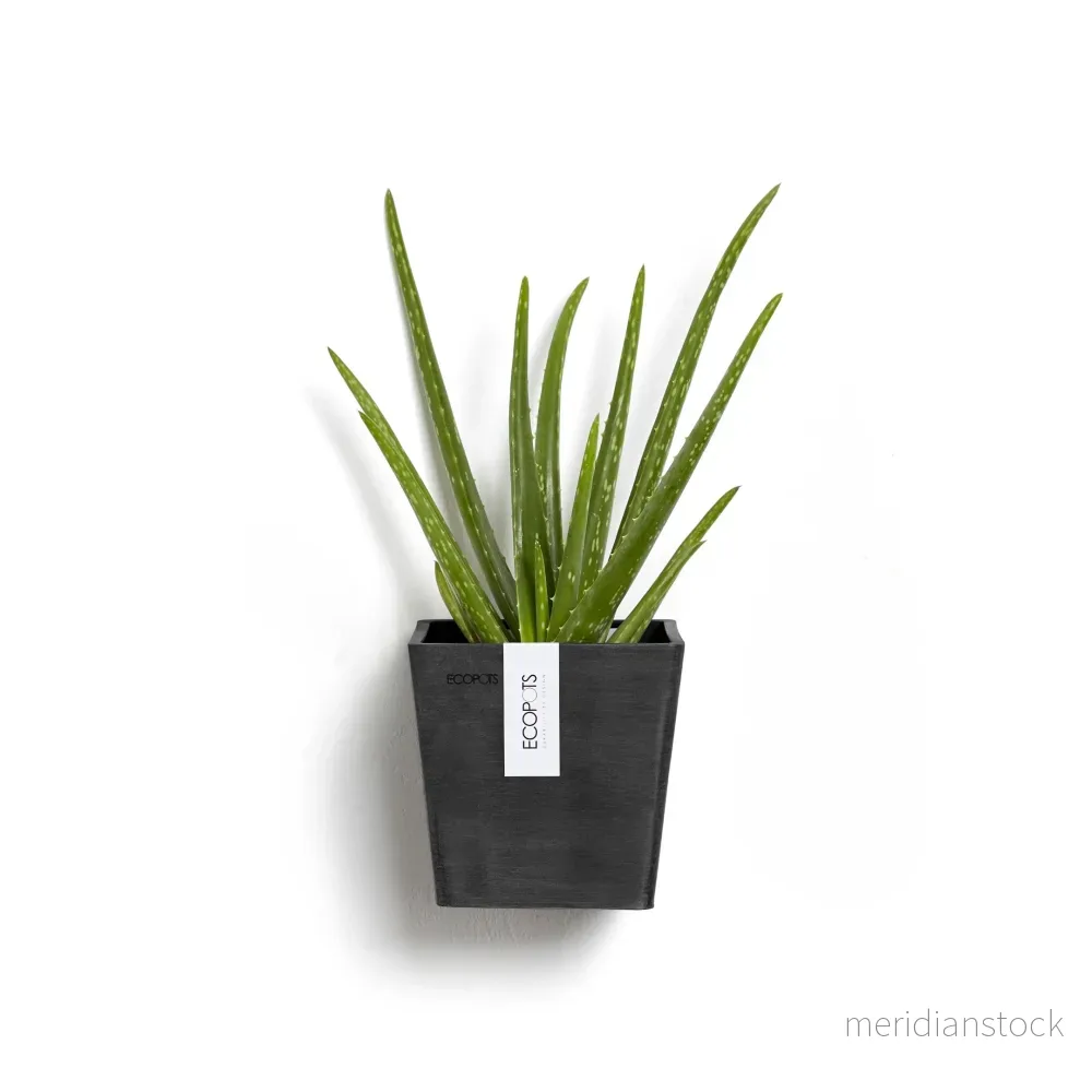 Kruka Manhattan vägg 15cm mörkgrå Kruka Manhattan vägg 15cm mörkgrå