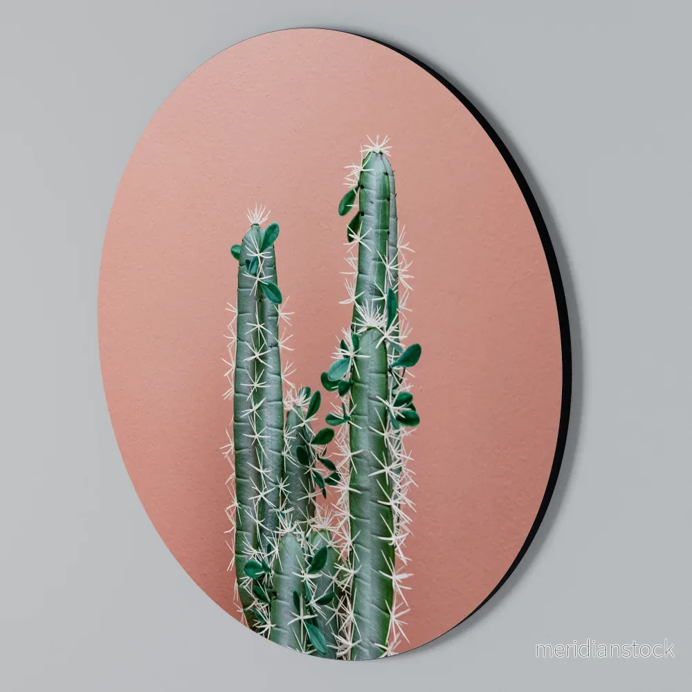LORD CACTUS Rund väggdekor - Bild 2