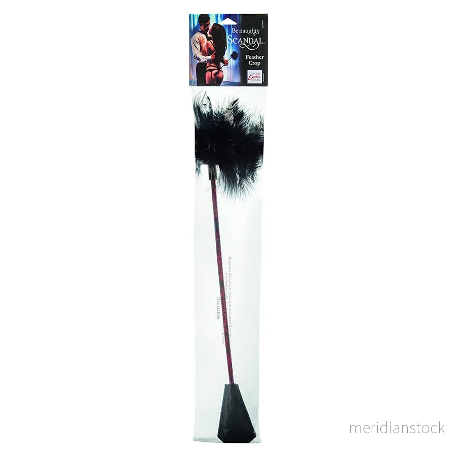 CALEXOTICS - SCANDAL BLACK FEATHER WHIP - Bild 2