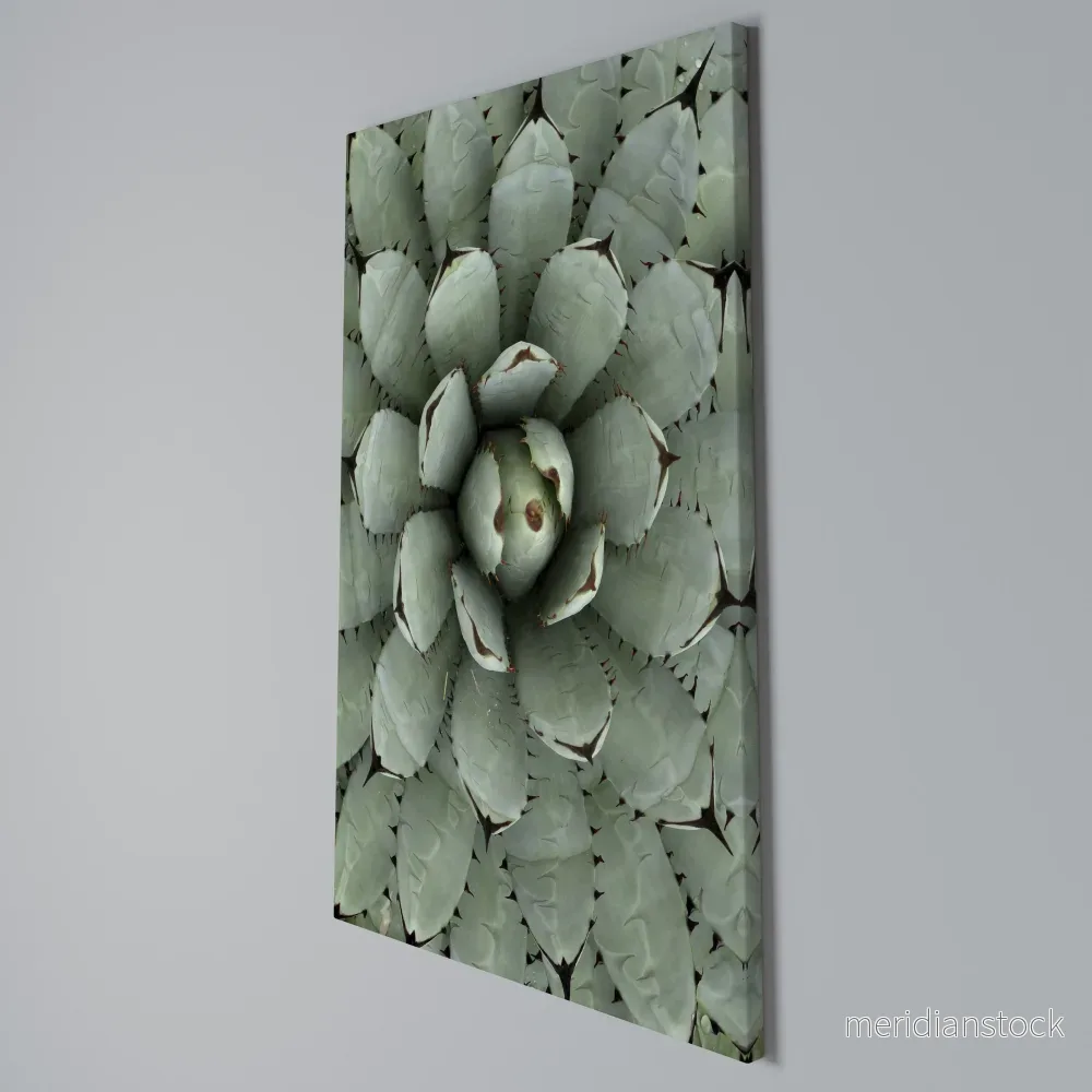 SUCCULENT SYMMETRY Vertical Canvas Print - Bild 3