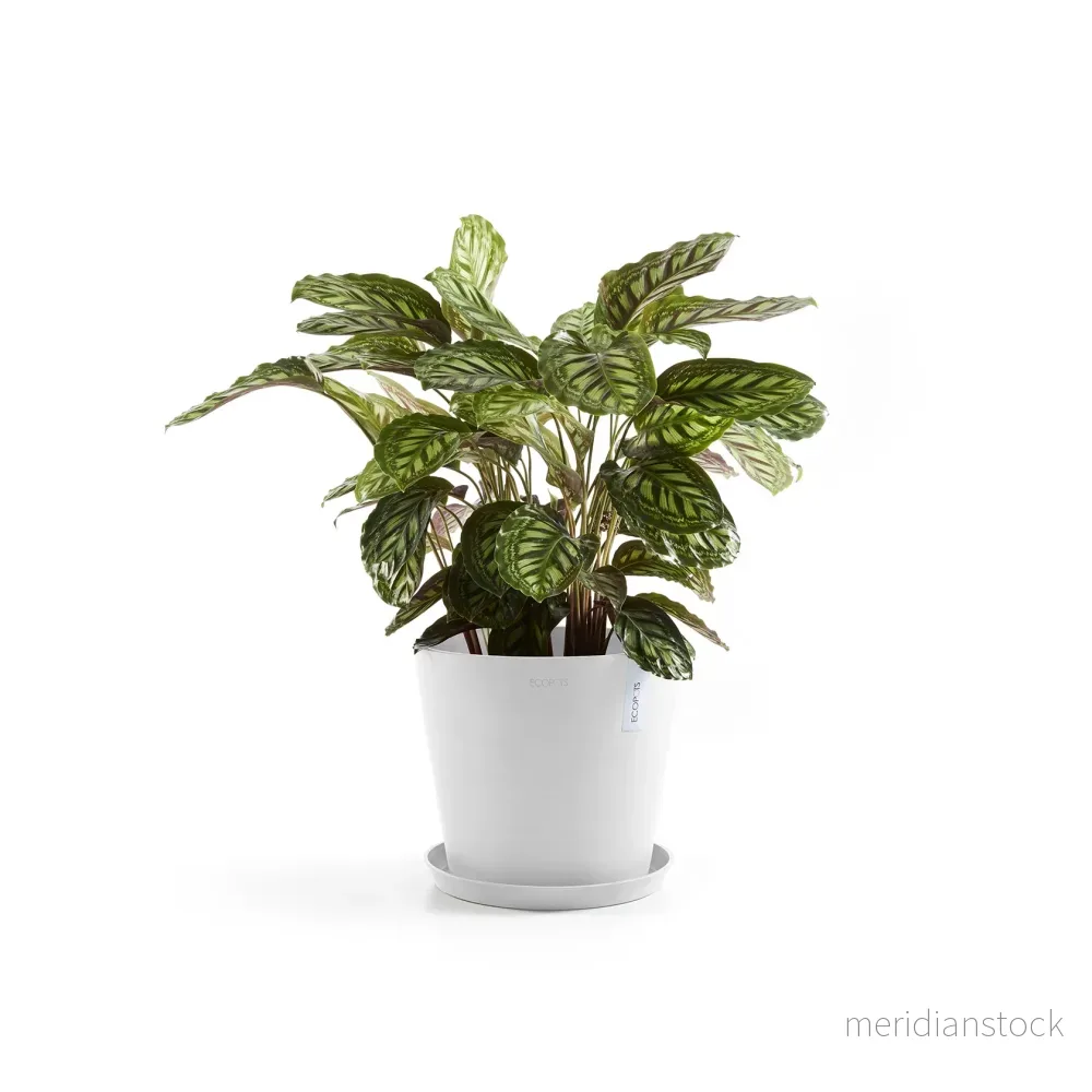 Kruka Amsterdam 40cm vit - Bild 2