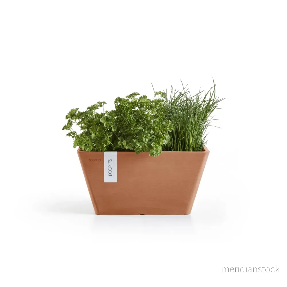 Kruka Berlin 30cm terrakotta