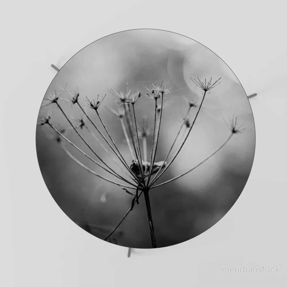 MINIMALIST BLOOM Soffbord - Bild 2