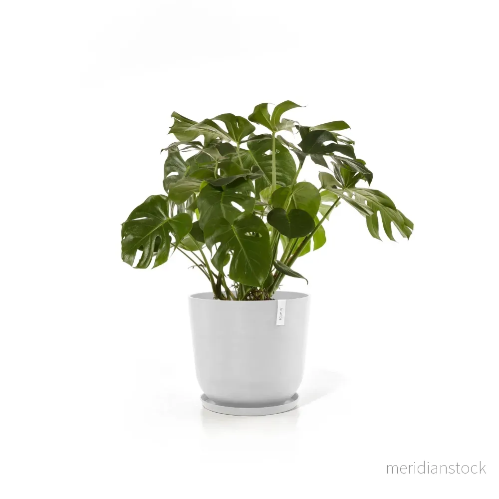 Kruka Oslo 75cm vit - Bild 2