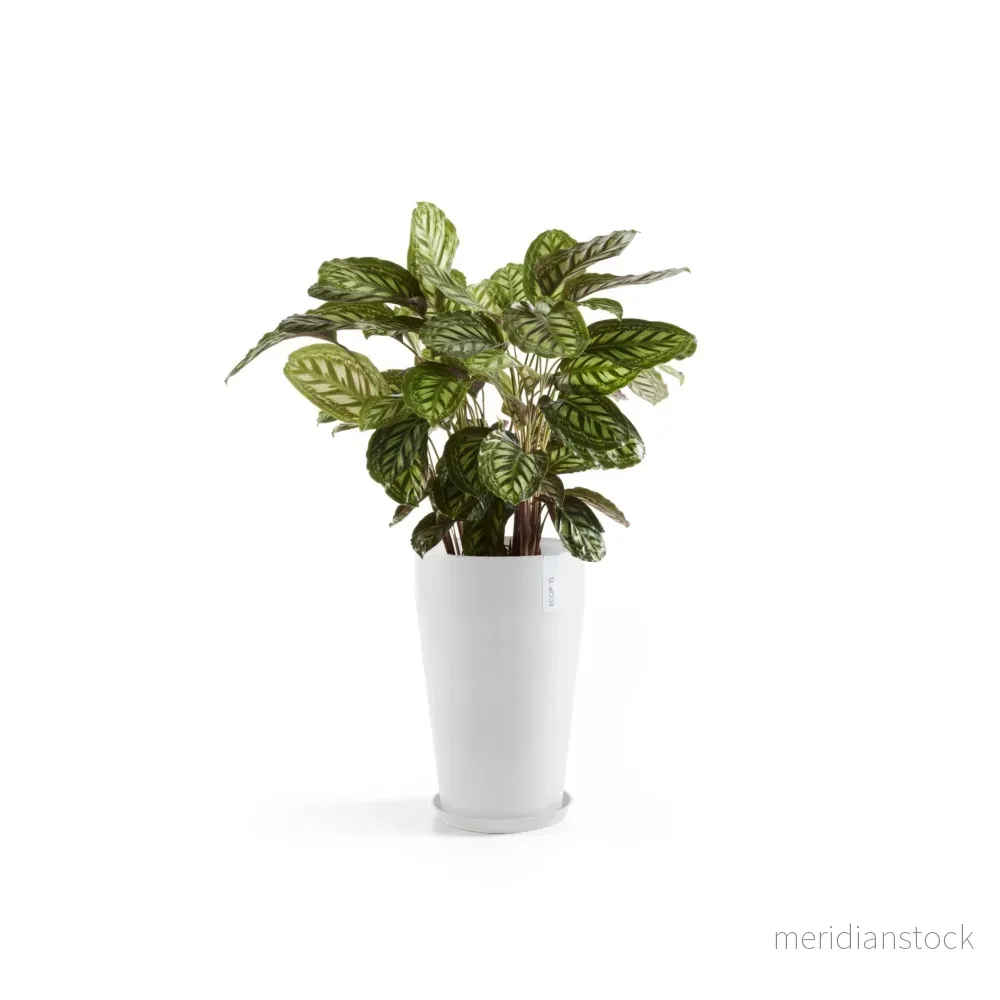 Kruka Sankara medelhög 55cm vit - Bild 2