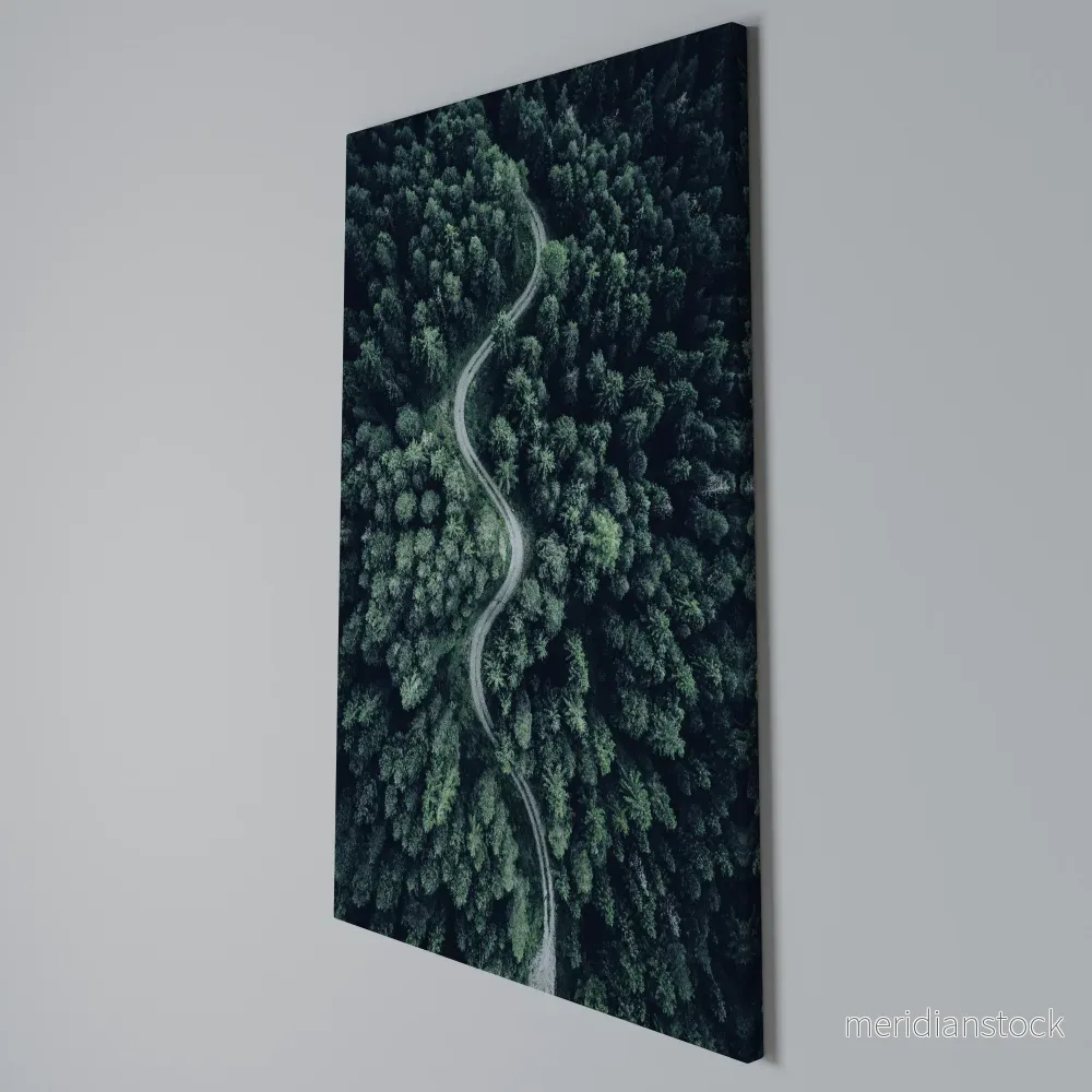 FORESTED SERPENTINE ROUTE Vertical Canvas Print - Bild 3