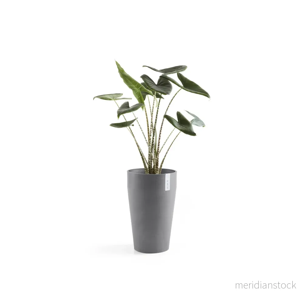Kruka Sankara medelhög 55cm grå