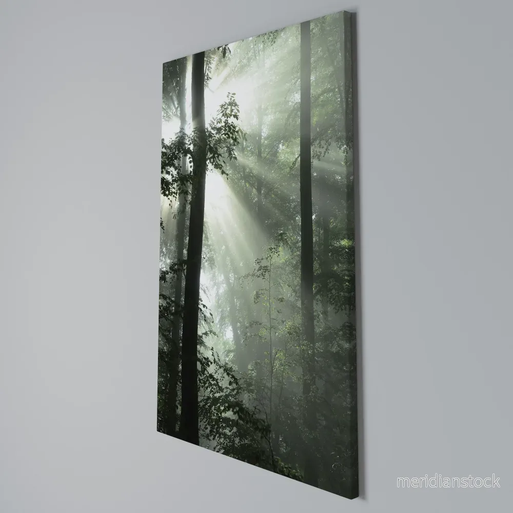 MYSTICAL SUNBEAMS Vertical Canvas Print - Bild 3
