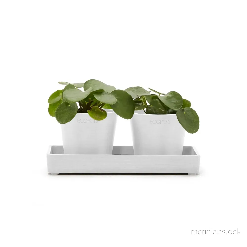 Kruka presentationsbricka 20cm vit - Bild 3