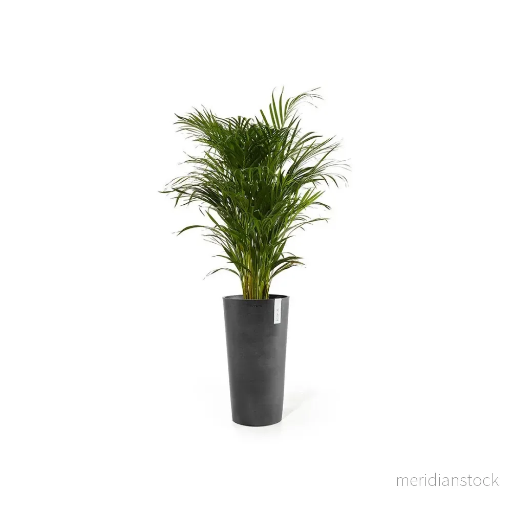 Kruka Amsterdam hög 70cm mörkgrå Kruka Amsterdam hög 70cm mörkgrå