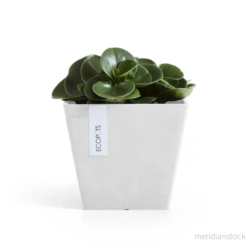 Kruka Rotterdam 20cm vit Kruka Rotterdam 20cm vit