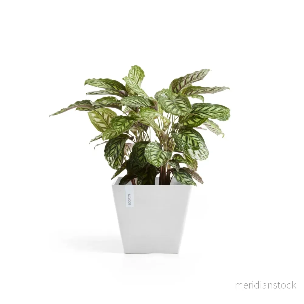 Kruka Rotterdam 40cm vit
