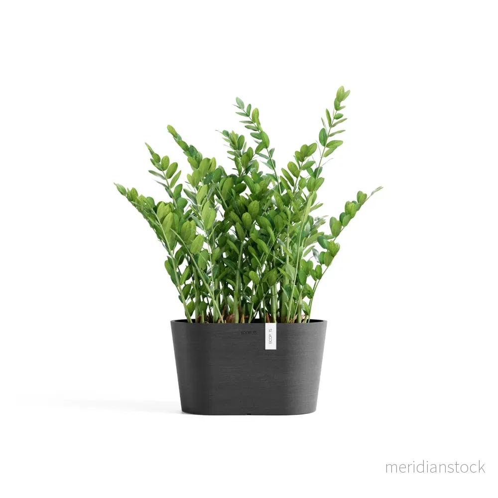 Kruka Tokyo 30cm mörkgrå Kruka Tokyo 30cm mörkgrå