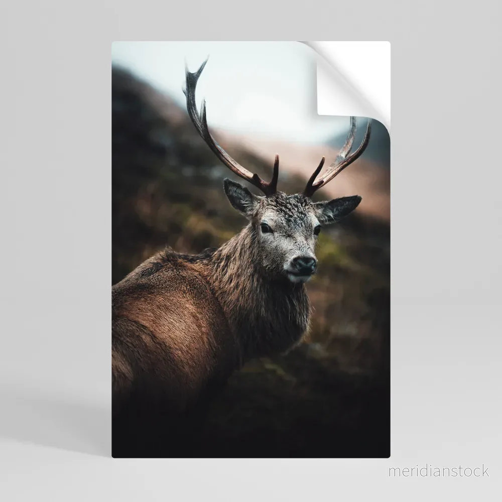 ELEGANT WILDERNESS GUARDIAN Självhäftande Vertikal Poster - Bild 3