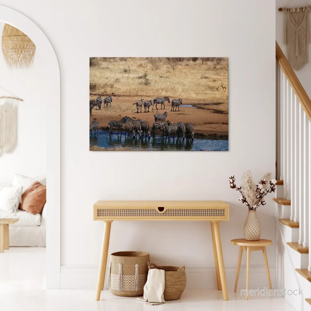 THE ZEBRA HARMONY Horizontal Canvas Print