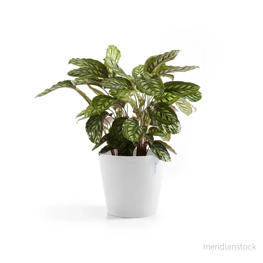 Kruka Amsterdam 25cm vit - Bild 3