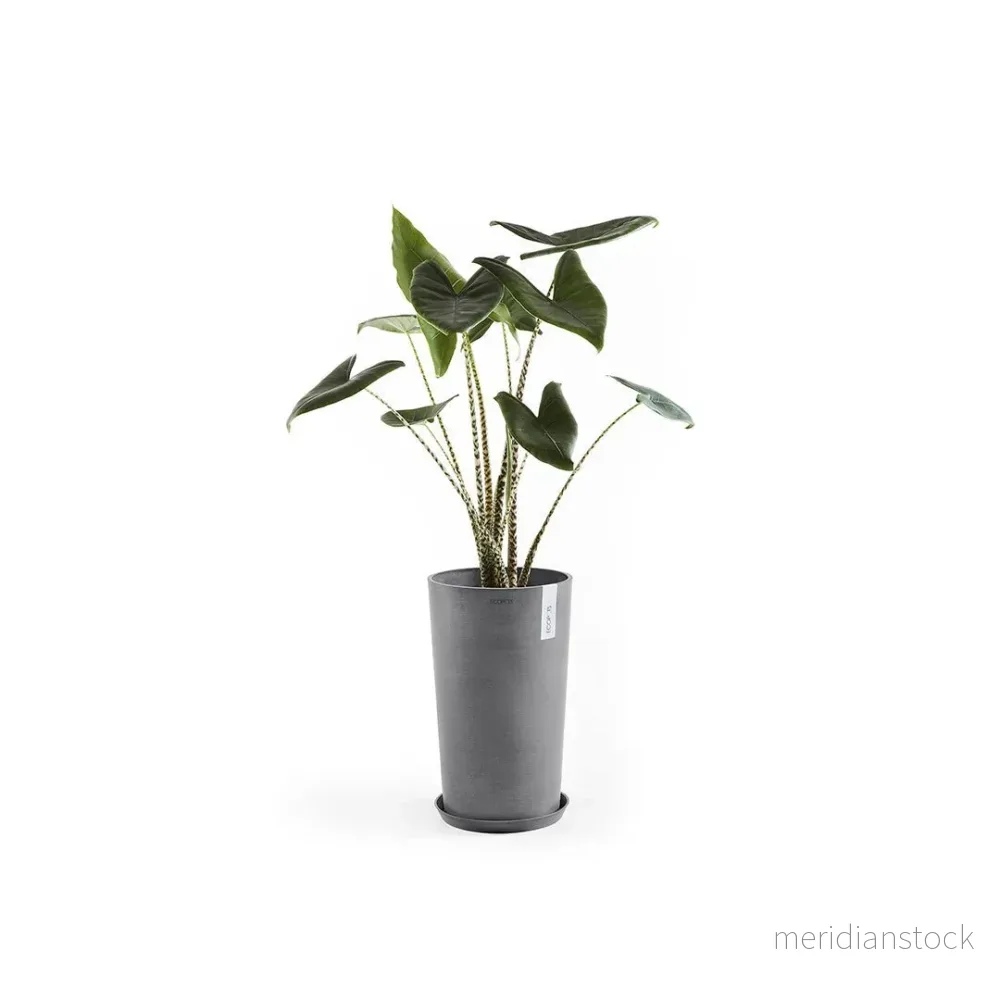Kruka Amsterdam medelhög 50cm grå - Bild 3