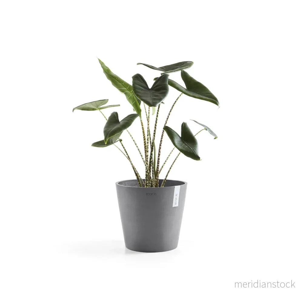 Kruka Amsterdam 40cm grå