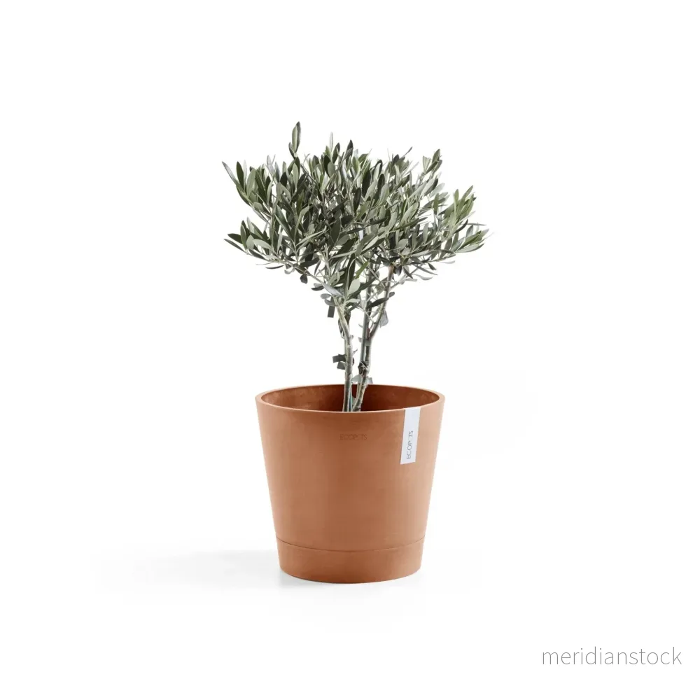 Kruka Venedig 40cm terrakotta