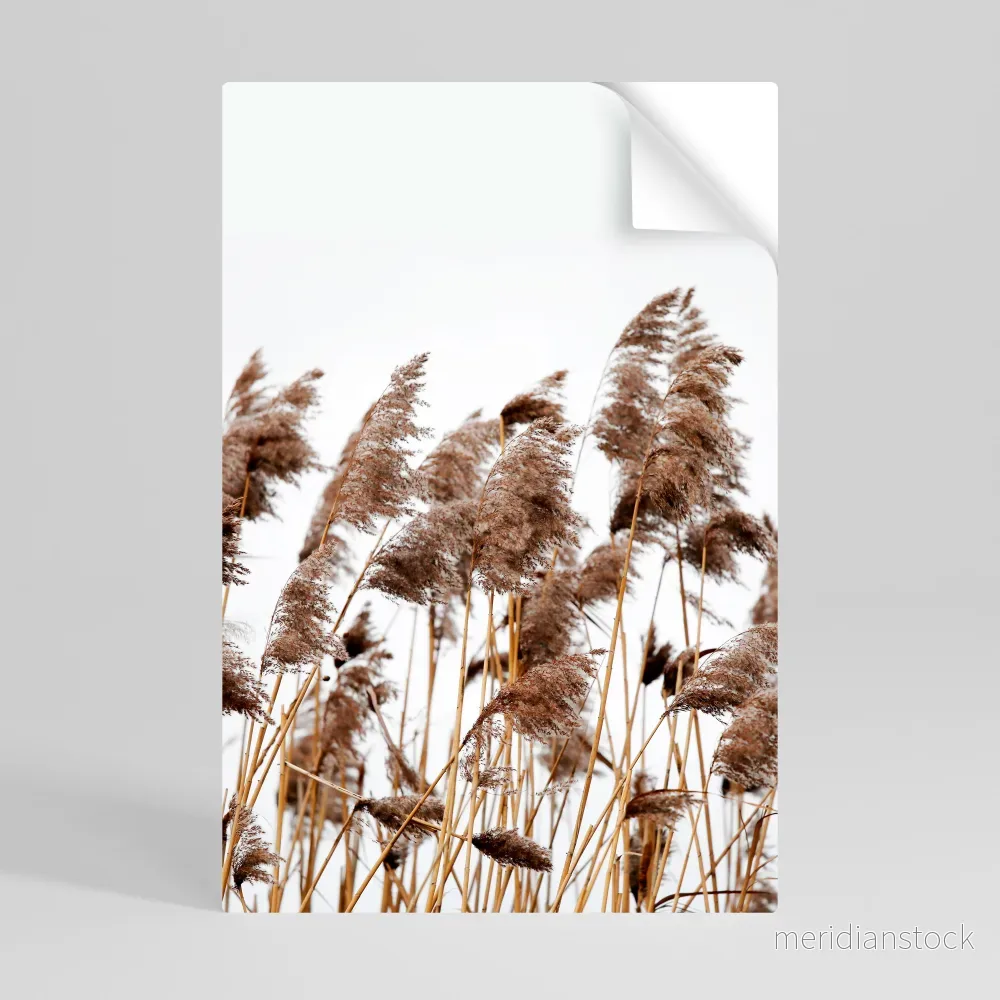 DANCE OF REEDS Självhäftande Vertikal Poster - Bild 3