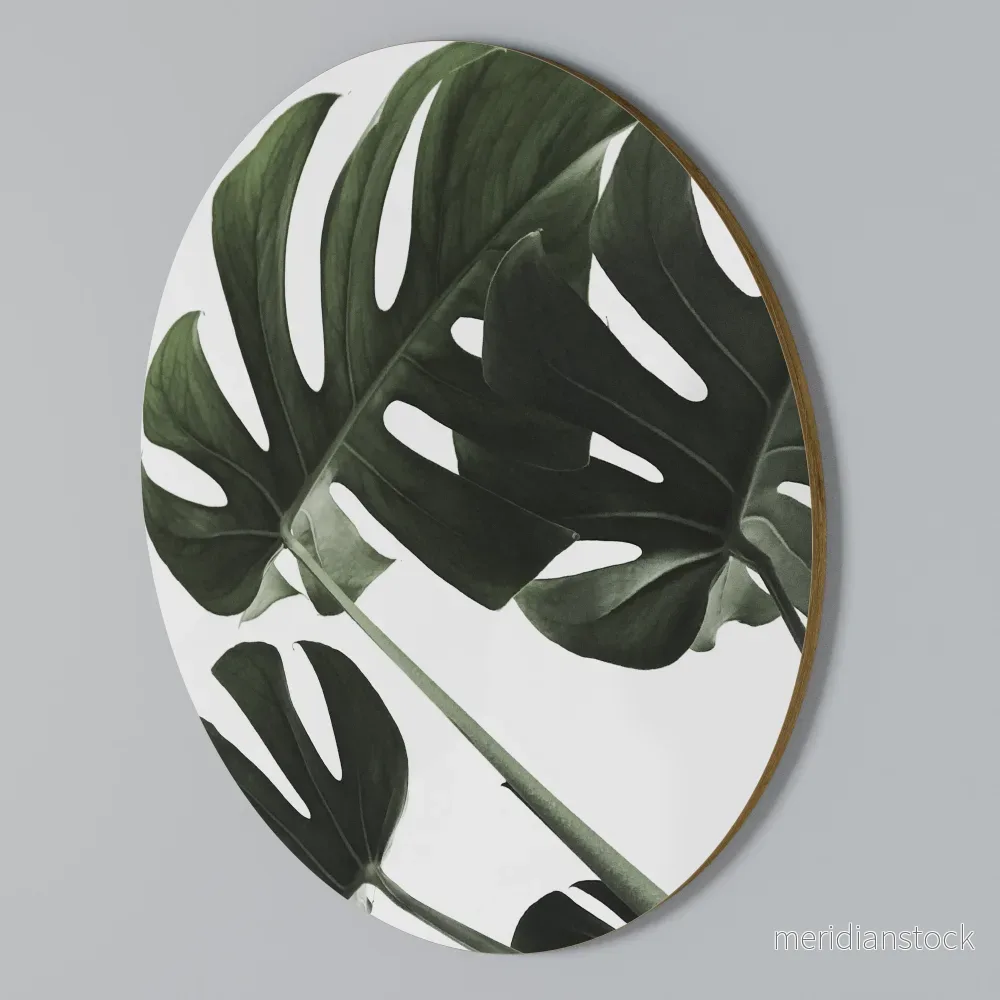 FOLIAGE FUSION Rund väggdekor
