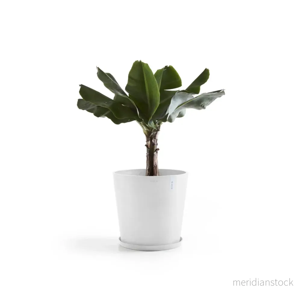 Kruka Amsterdam 60cm vit - Bild 2