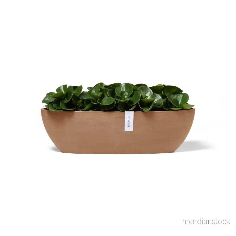Blomkruka Sofia lång 56cm terrakotta - Bild 2