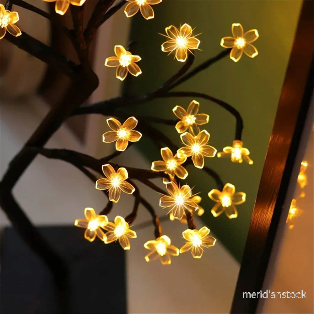 Levande körsbärsträd - LumiBlossom - Bild 3