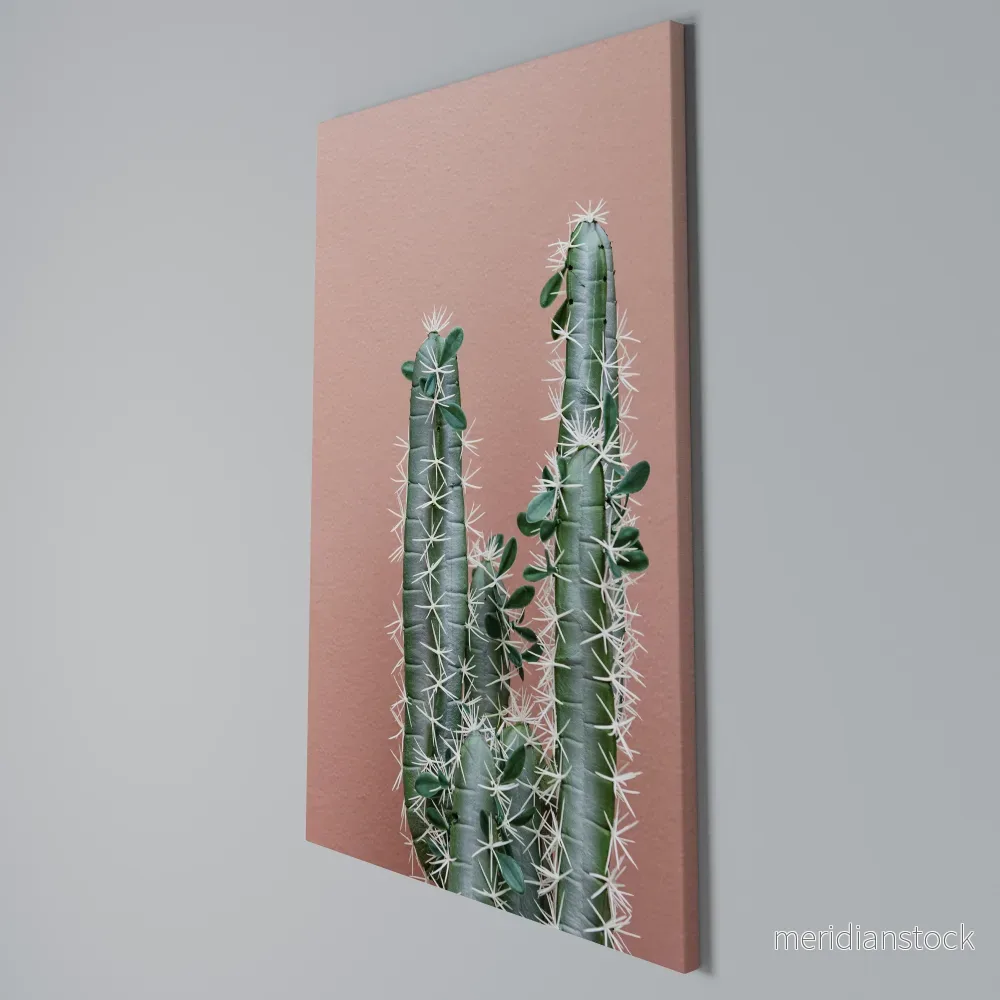 LORD CACTUS Vertical Canvas Print - Bild 3