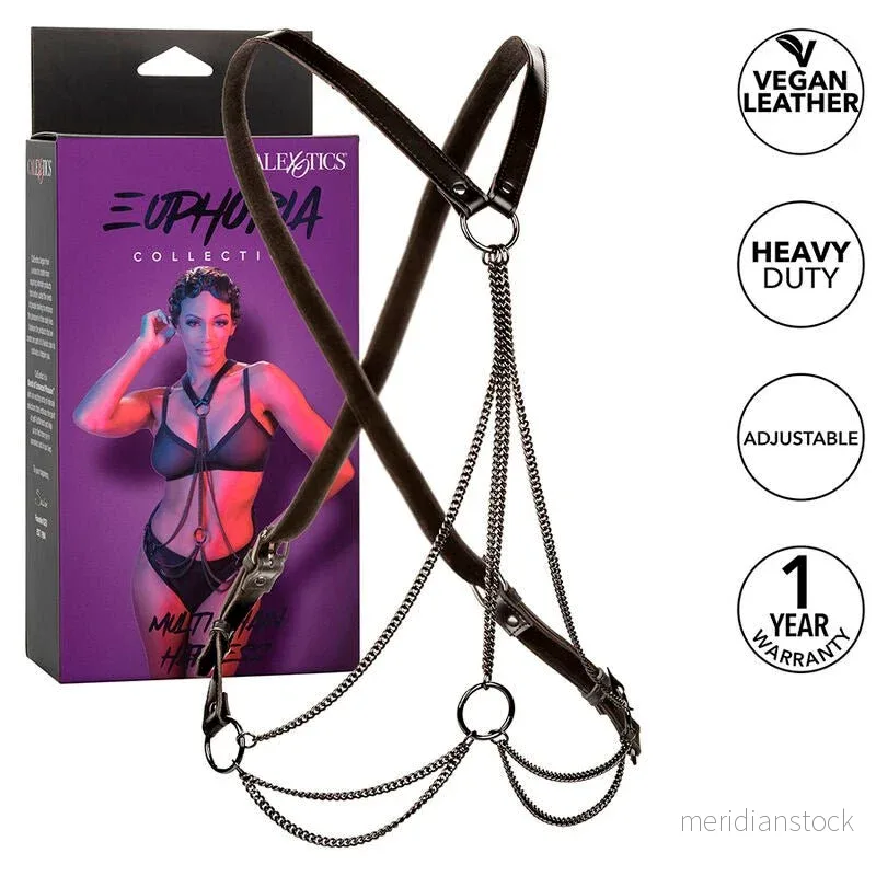 CALEXOTICS - EUPHORIA MULTICHAIN HARNESS PREMIUM - Bild 3