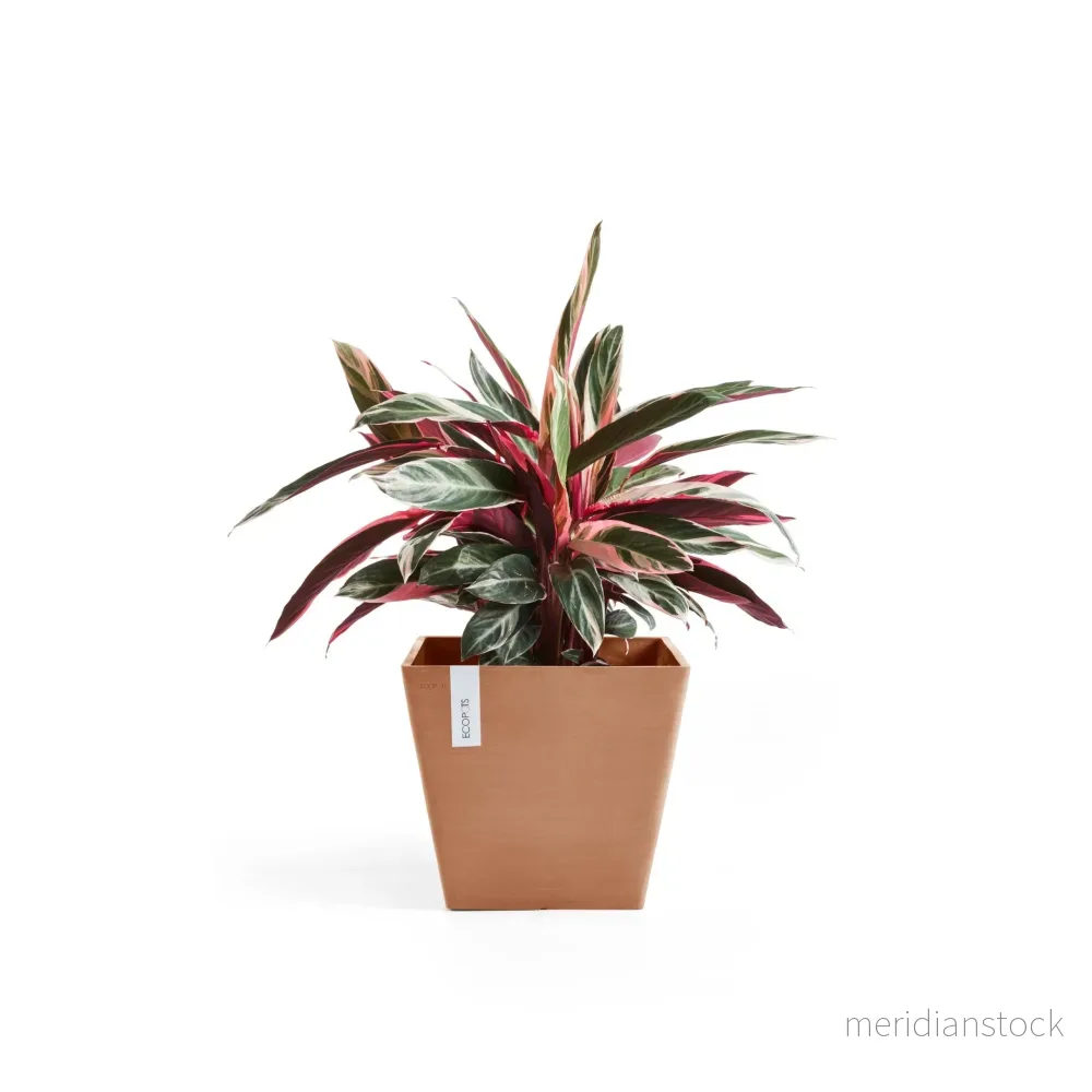 Kruka Rotterdam 30cm terrakotta Kruka Rotterdam 30cm terrakotta