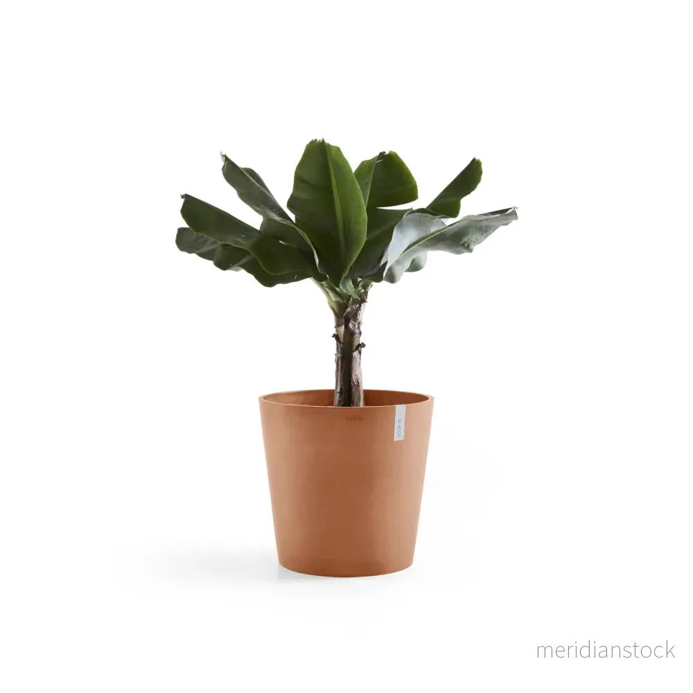 Kruka Amsterdam 60 cm terrakotta