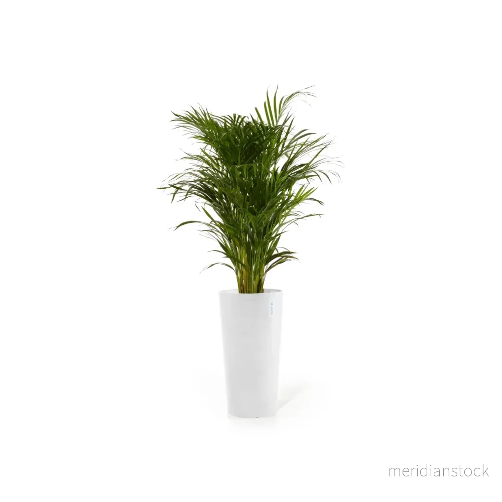 Kruka Amsterdam hög 76cm vit - Bild 2